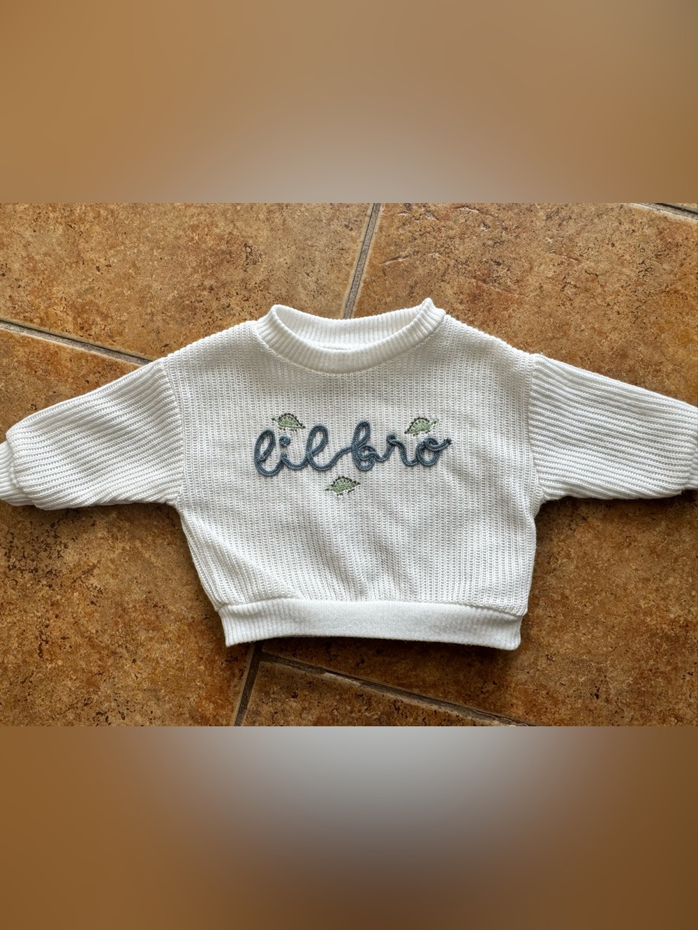Lil Bro Dino Sweater